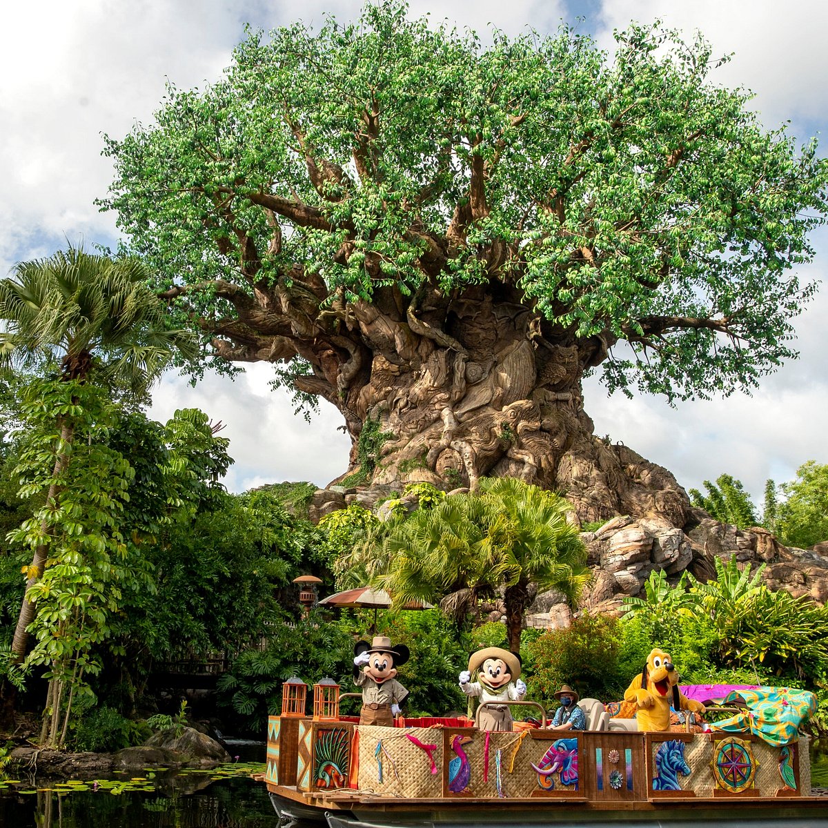 Animal Kingdom - naturaleza y Pandora